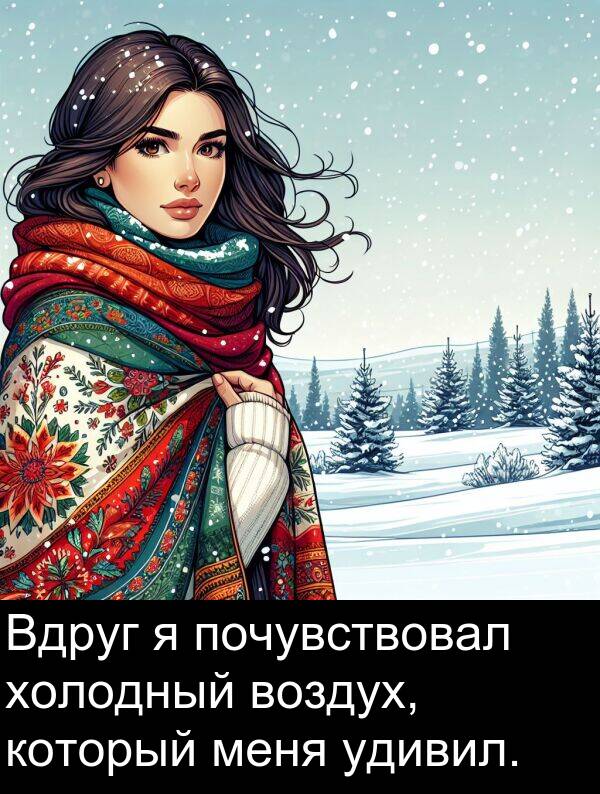 который: Вдруг я почувствовал холодный воздух, который меня удивил.