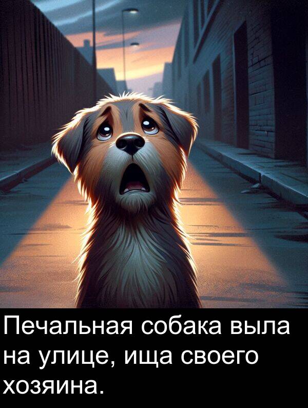 улице: Печальная собака выла на улице, ища своего хозяина.