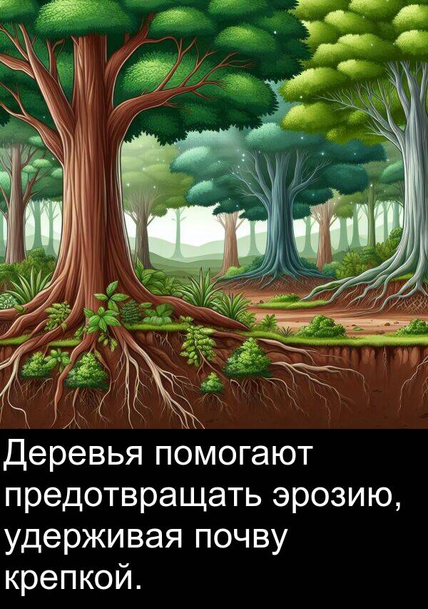 крепкой: Деревья помогают предотвращать эрозию, удерживая почву крепкой.
