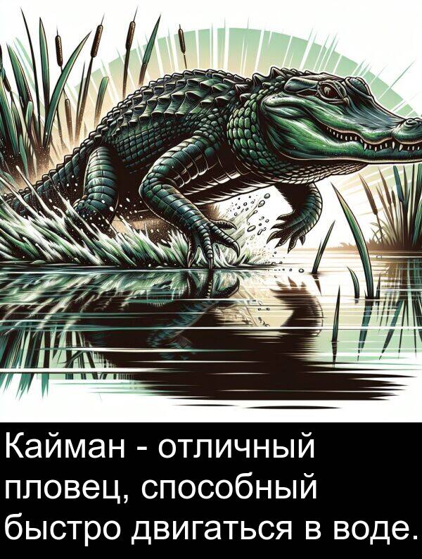 способный: Кайман - отличный пловец, способный быстро двигаться в воде.