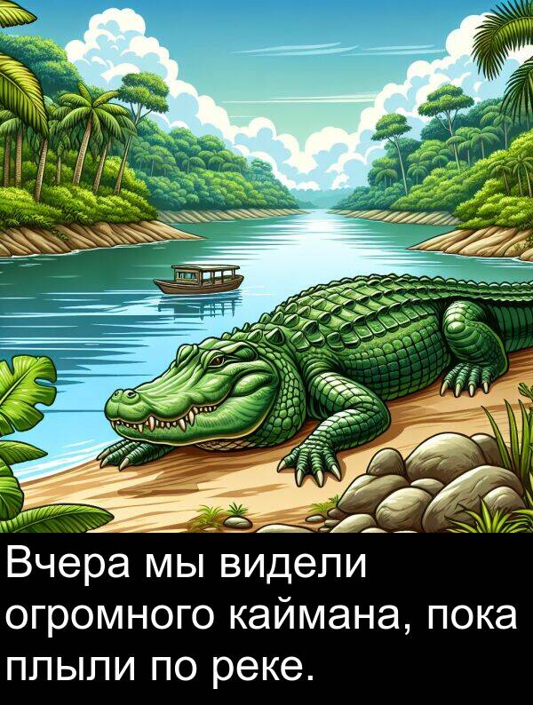 каймана: Вчера мы видели огромного каймана, пока плыли по реке.