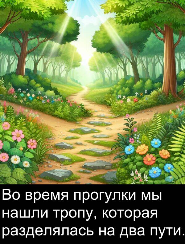 пути: Во время прогулки мы нашли тропу, которая разделялась на два пути.