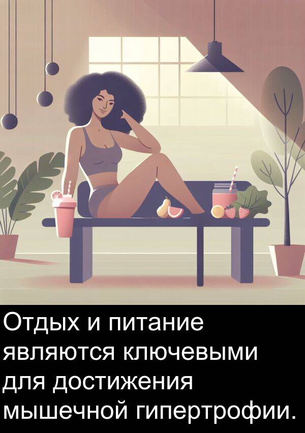 ключевыми: Отдых и питание являются ключевыми для достижения мышечной гипертрофии.