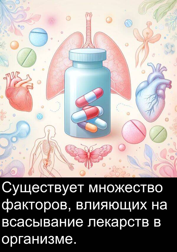 всасывание: Существует множество факторов, влияющих на всасывание лекарств в организме.