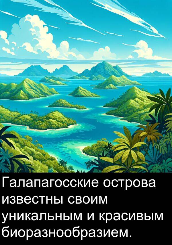 красивым: Галапагосские острова известны своим уникальным и красивым биоразнообразием.