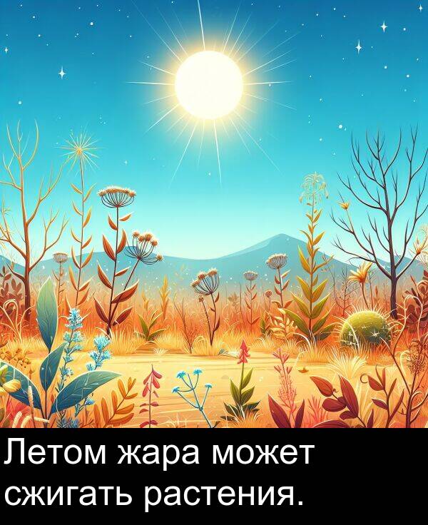 жара: Летом жара может сжигать растения.