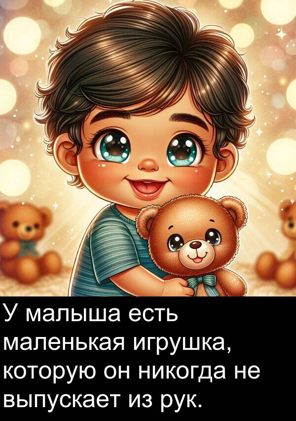 которую: У малыша есть маленькая игрушка, которую он никогда не выпускает из рук.