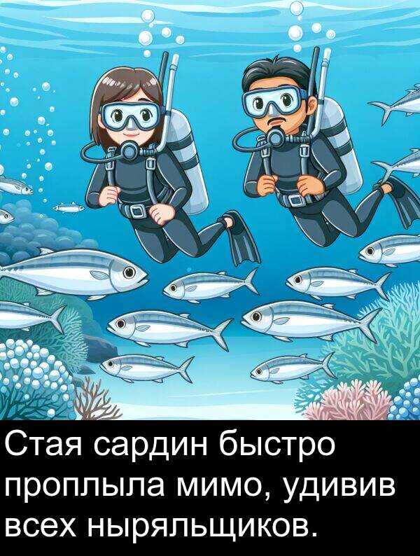 проплыла: Стая сардин быстро проплыла мимо, удивив всех ныряльщиков.