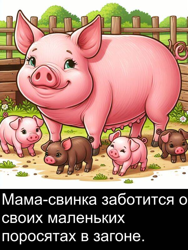 своих: Мама-свинка заботится о своих маленьких поросятах в загоне.