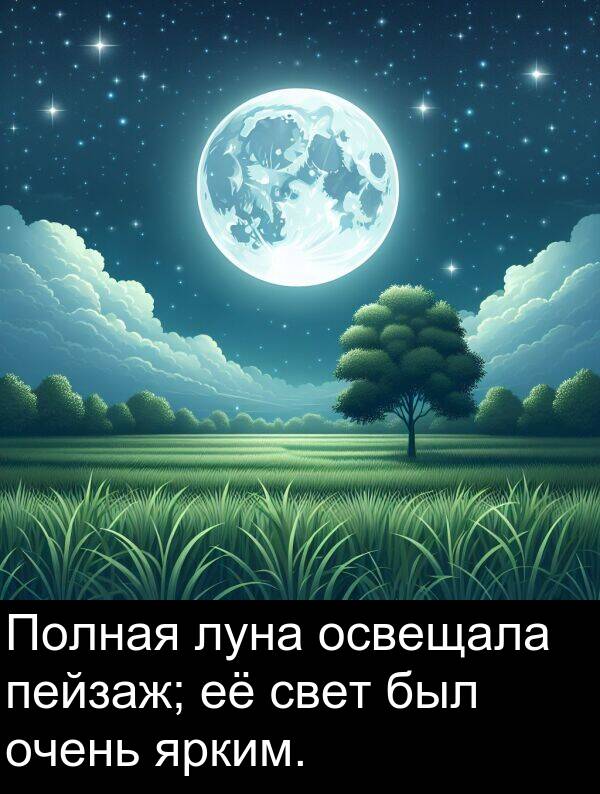 свет: Полная луна освещала пейзаж; её свет был очень ярким.