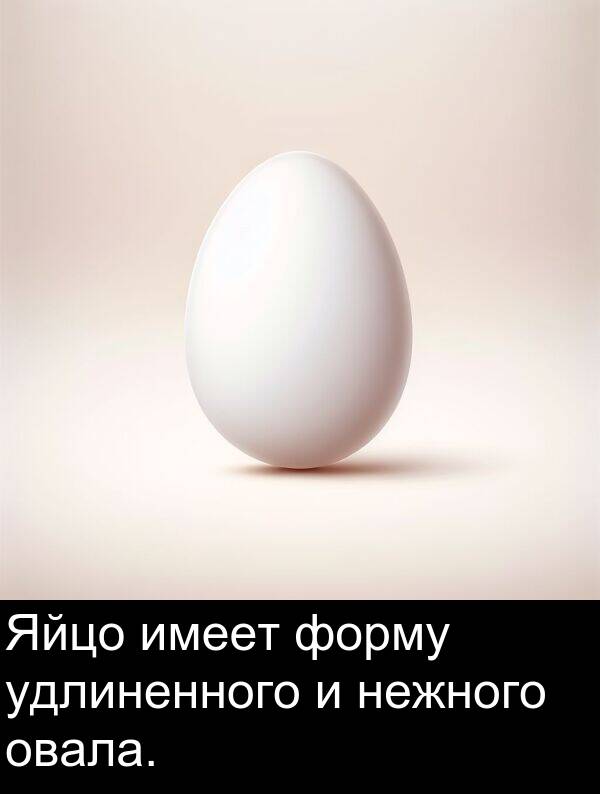 нежного: Яйцо имеет форму удлиненного и нежного овала.