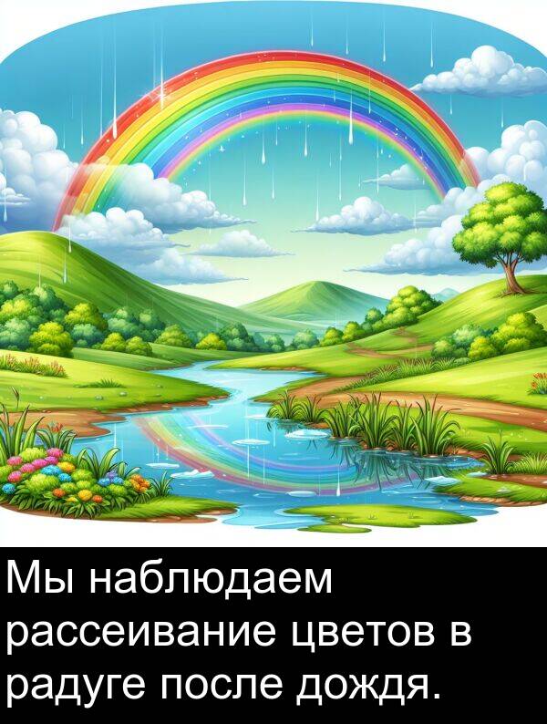 цветов: Мы наблюдаем рассеивание цветов в радуге после дождя.