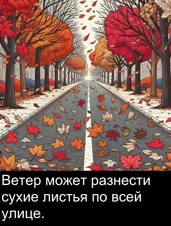 улице: Ветер может разнести сухие листья по всей улице.