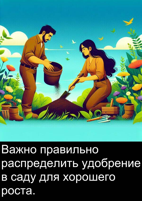 саду: Важно правильно распределить удобрение в саду для хорошего роста.