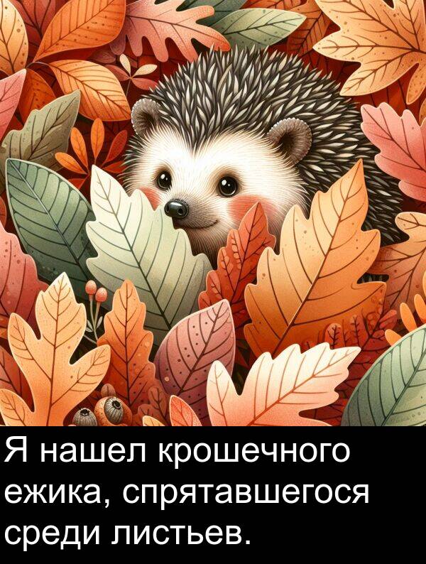 крошечного: Я нашел крошечного ежика, спрятавшегося среди листьев.