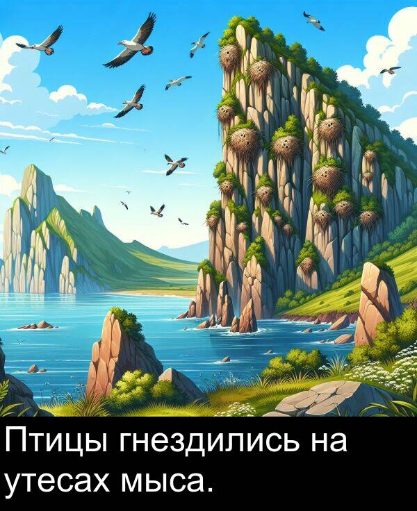 утесах: Птицы гнездились на утесах мыса.