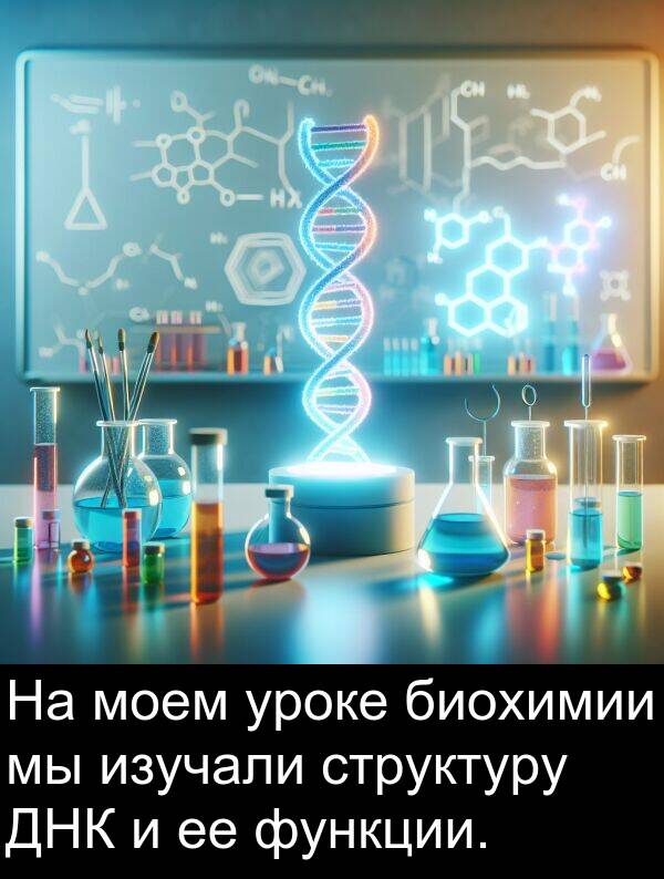 структуру: На моем уроке биохимии мы изучали структуру ДНК и ее функции.
