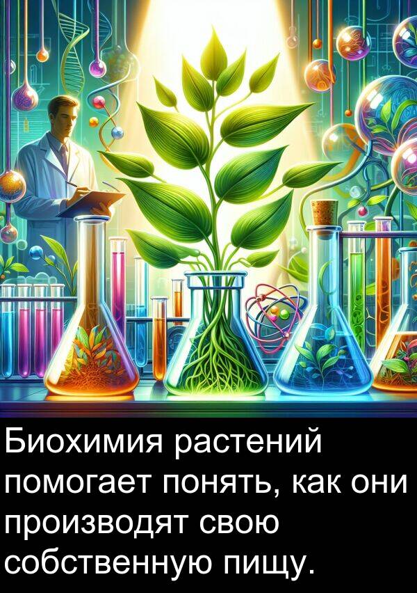 производят: Биохимия растений помогает понять, как они производят свою собственную пищу.