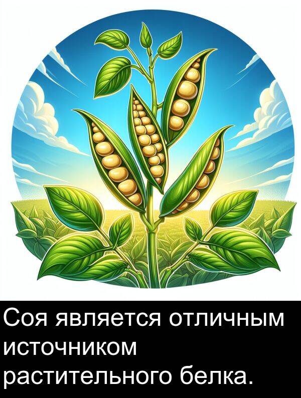 является: Соя является отличным источником растительного белка.