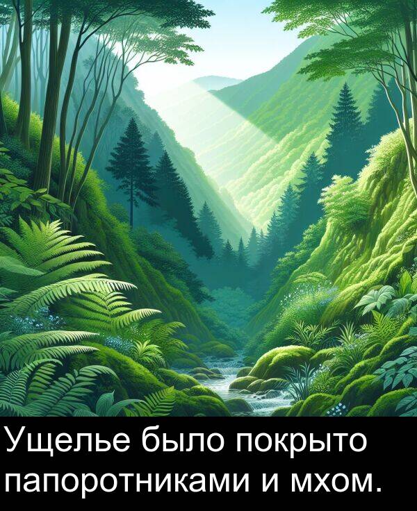 папоротниками: Ущелье было покрыто папоротниками и мхом.