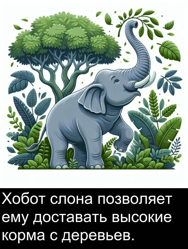 корма: Хобот слона позволяет ему доставать высокие корма с деревьев.