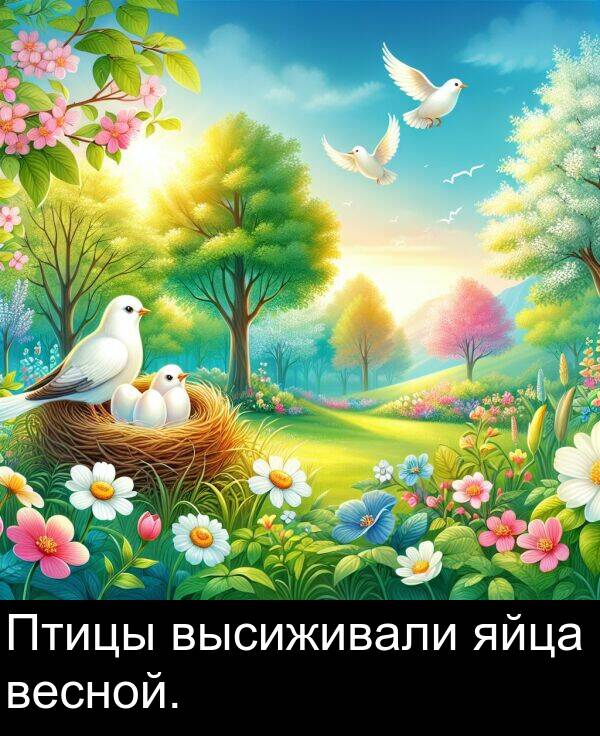 весной: Птицы высиживали яйца весной.