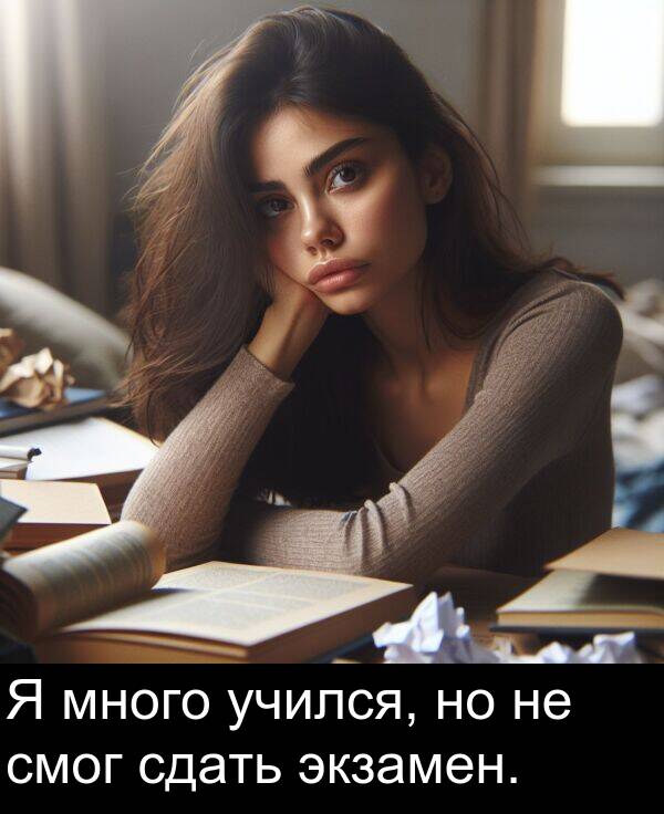 учился: Я много учился, но не смог сдать экзамен.