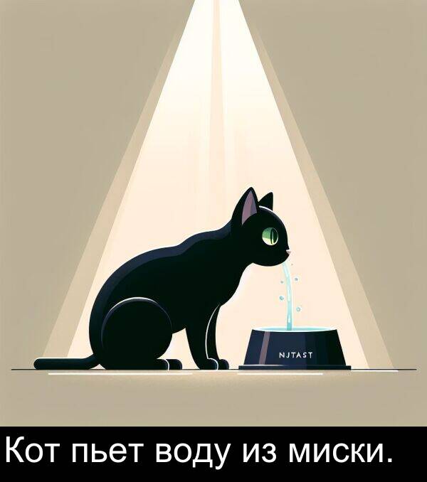 пьет: Кот пьет воду из миски.