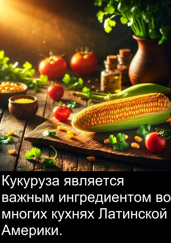 важным: Кукуруза является важным ингредиентом во многих кухнях Латинской Америки.