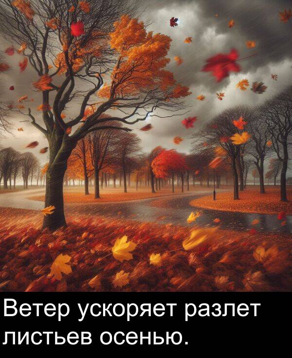 ускоряет: Ветер ускоряет разлет листьев осенью.