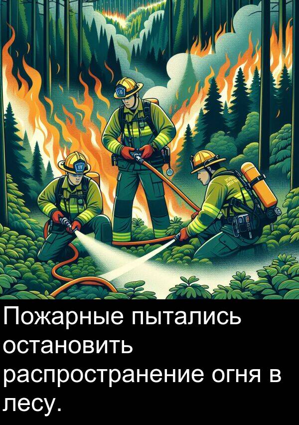 пытались: Пожарные пытались остановить распространение огня в лесу.