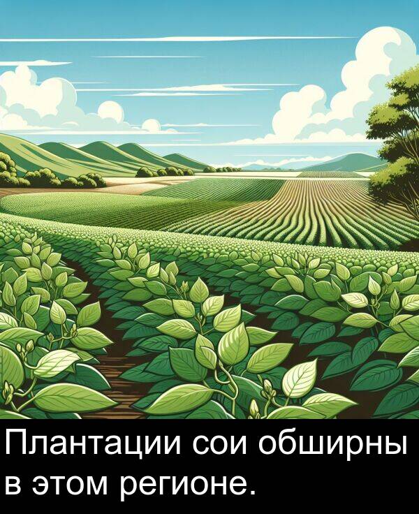 сои: Плантации сои обширны в этом регионе.