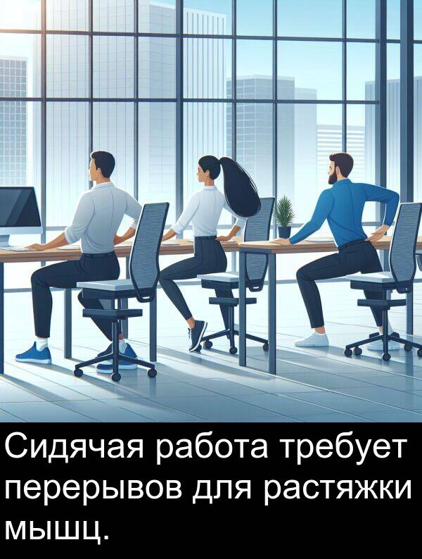 работа: Сидячая работа требует перерывов для растяжки мышц.