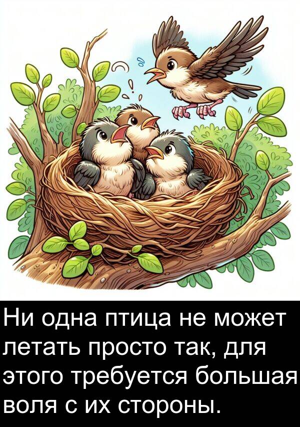 просто: Ни одна птица не может летать просто так, для этого требуется большая воля с их стороны.