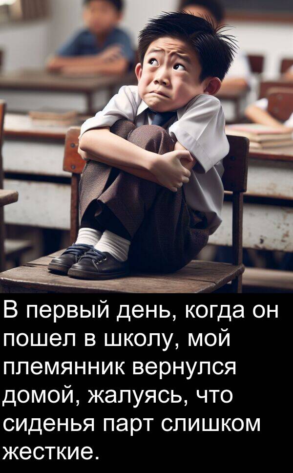пошел: В первый день, когда он пошел в школу, мой племянник вернулся домой, жалуясь, что сиденья парт слишком жесткие.