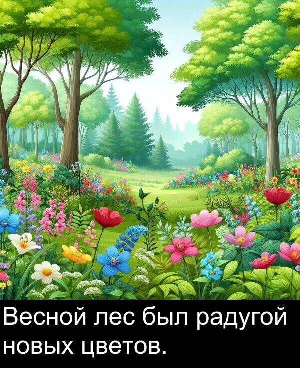 цветов: Весной лес был радугой новых цветов.