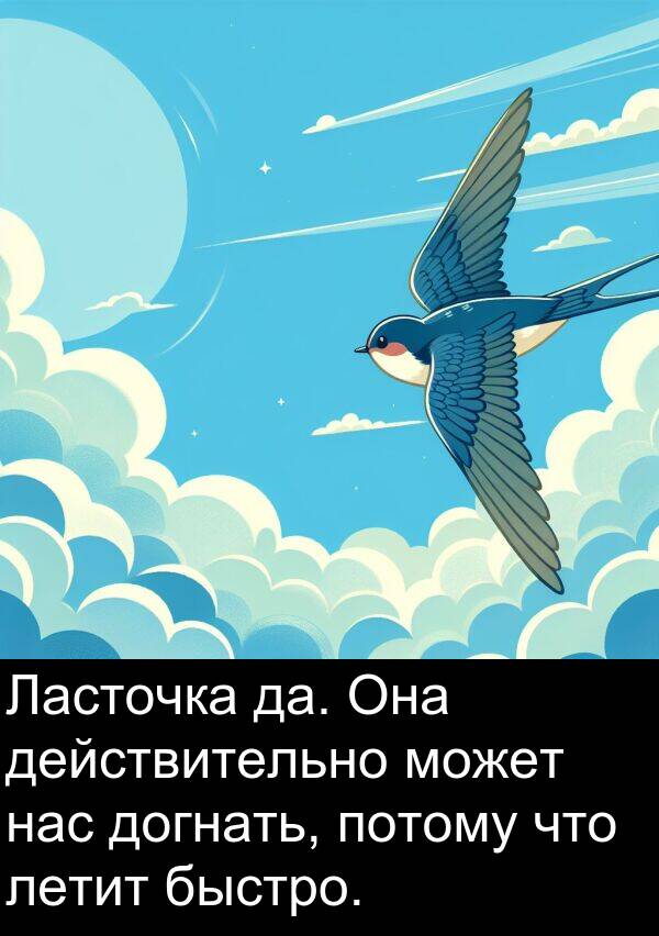 потому: Ласточка да. Она действительно может нас догнать, потому что летит быстро.