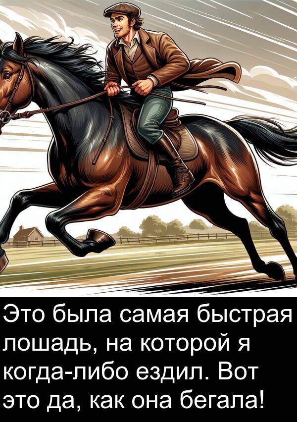 которой: Это была самая быстрая лошадь, на которой я когда-либо ездил. Вот это да, как она бегала!