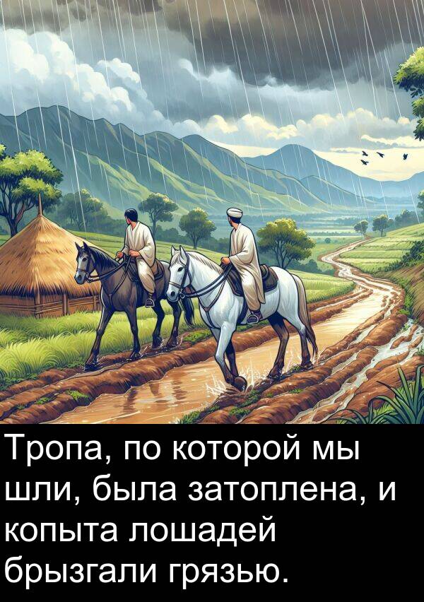 копыта: Тропа, по которой мы шли, была затоплена, и копыта лошадей брызгали грязью.