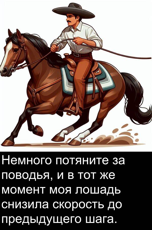 потяните: Немного потяните за поводья, и в тот же момент моя лошадь снизила скорость до предыдущего шага.
