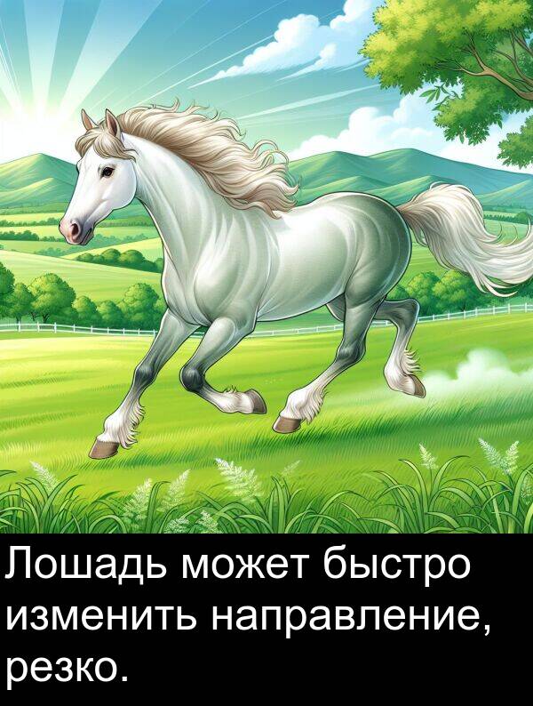 быстро: Лошадь может быстро изменить направление, резко.
