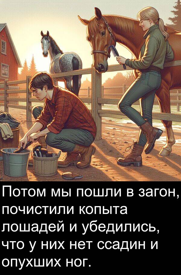 пошли: Потом мы пошли в загон, почистили копыта лошадей и убедились, что у них нет ссадин и опухших ног.