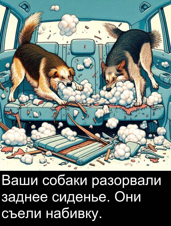 съели: Ваши собаки разорвали заднее сиденье. Они съели набивку.