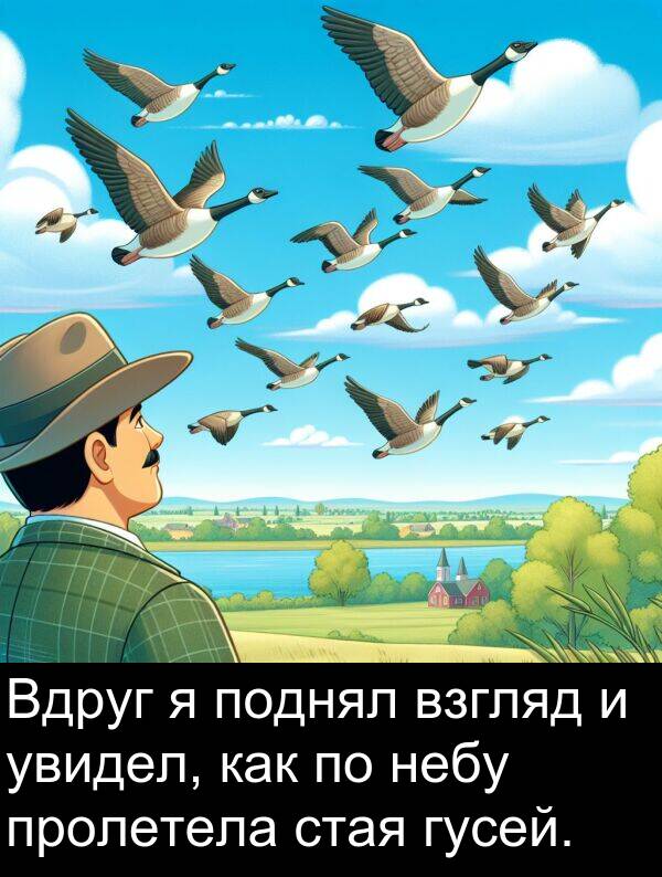 пролетела: Вдруг я поднял взгляд и увидел, как по небу пролетела стая гусей.