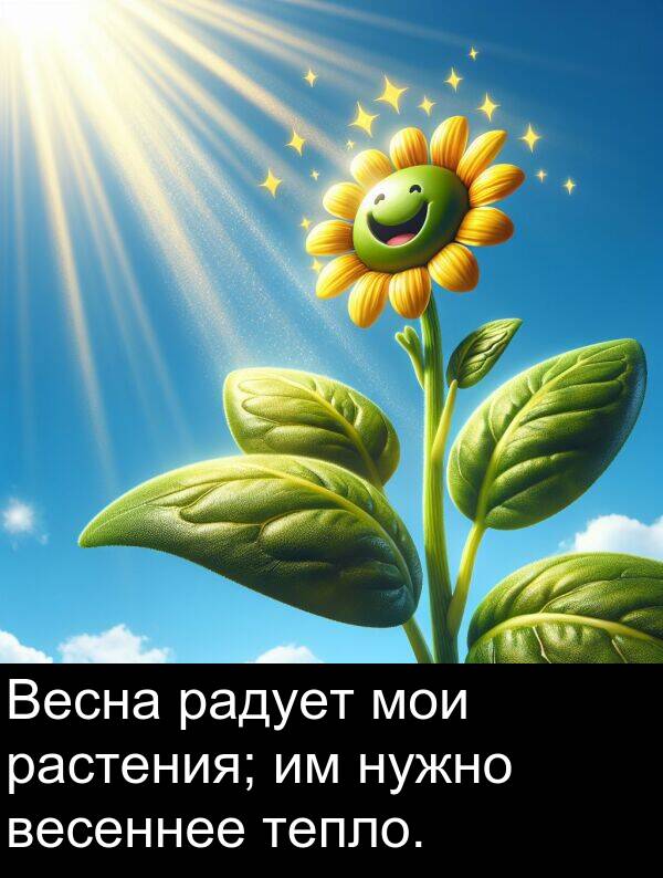весеннее: Весна радует мои растения; им нужно весеннее тепло.