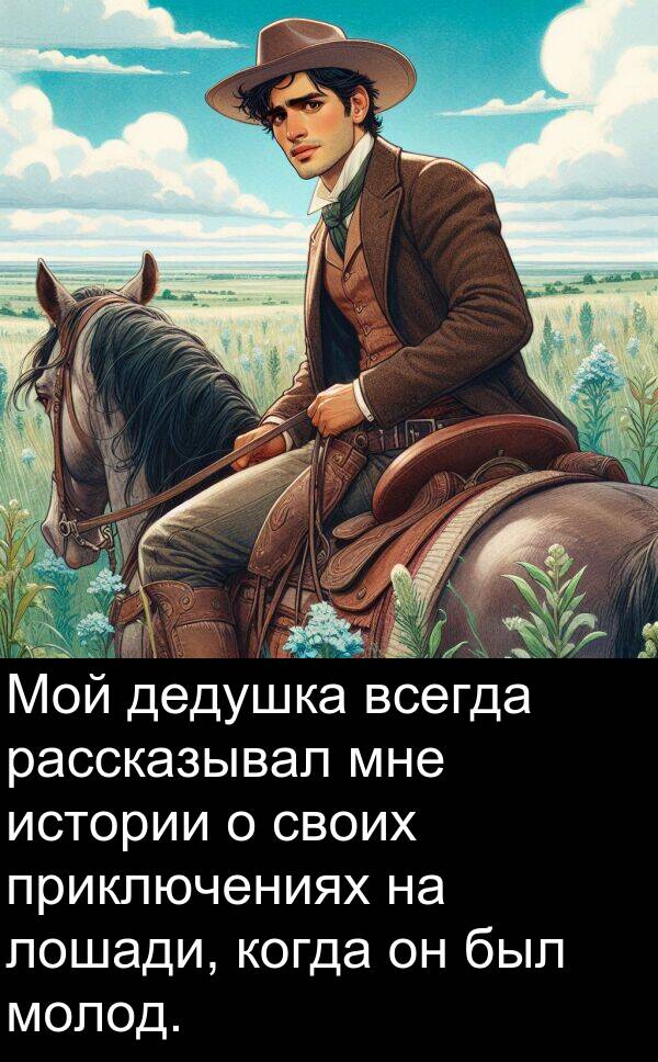приключениях: Мой дедушка всегда рассказывал мне истории о своих приключениях на лошади, когда он был молод.