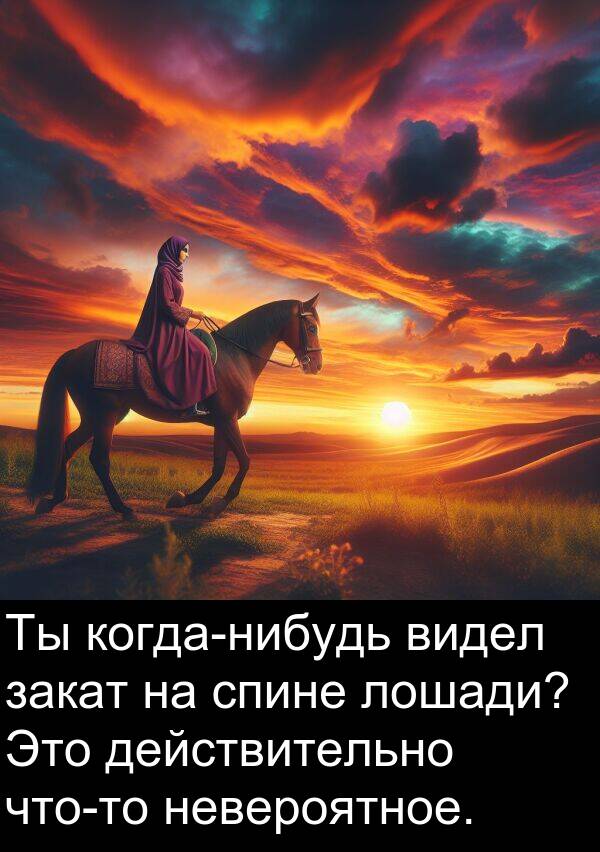 спине: Ты когда-нибудь видел закат на спине лошади? Это действительно что-то невероятное.
