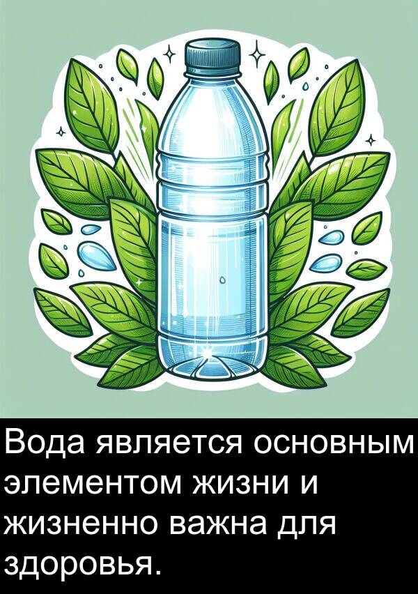 важна: Вода является основным элементом жизни и жизненно важна для здоровья.