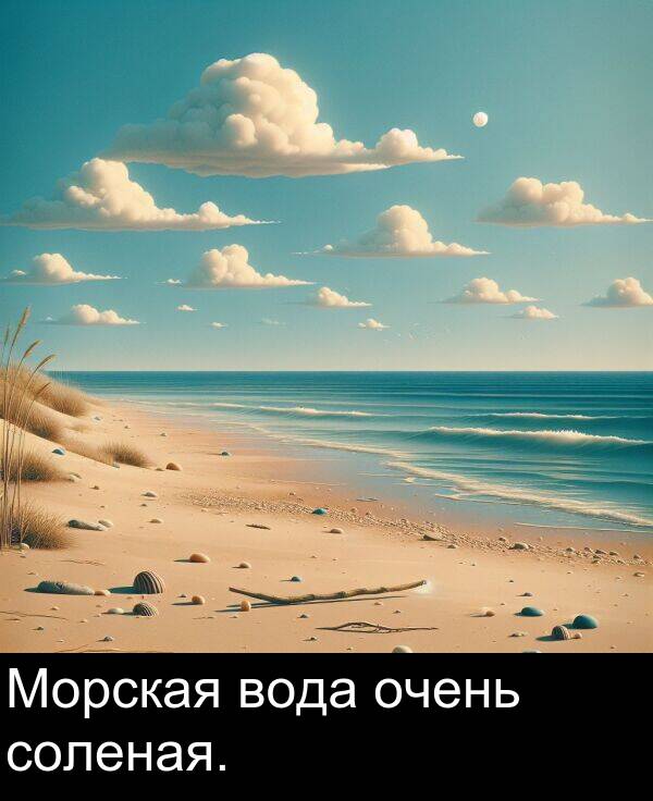 соленая: Морская вода очень соленая.