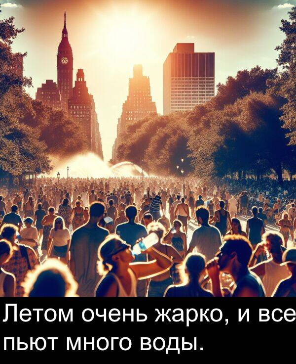 пьют: Летом очень жарко, и все пьют много воды.